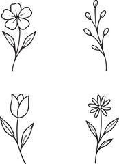  Minimal Botanical Sketch Vector – Floral Elements Illustration for Trendy Tattoo and Modern Design
