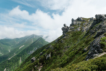 Fototapeta premium 日本の自然