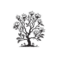 Black Color Magnolia Tree Silhouette Vector Illustration, Solid White Background.