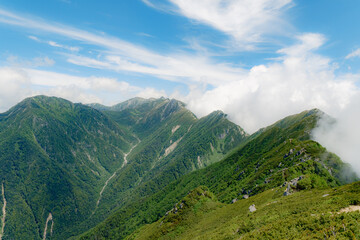 Fototapeta premium 日本の自然