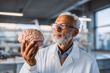 Scientist examining a model of a human brain in a laboratory setting