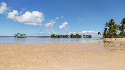 Castelhanos Beach is where blue waters embrace untouched nature on Boipeba Island, Bahia.