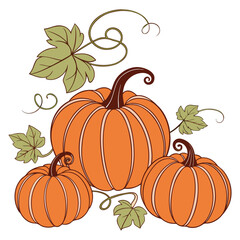 Vector illustration of an autumn pumpkin harvest