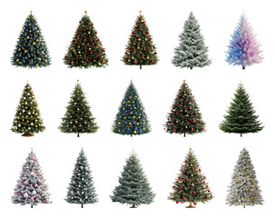 Fototapeta premium PNG Diverse festive Christmas trees collection, element set on transparent background