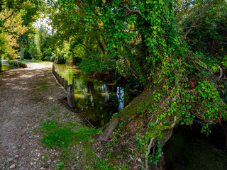 Path in the forest at Buccinasco, Milan province, Italy