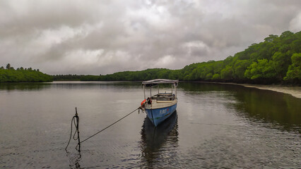 The mangrove forest frames Castelhanos Beach, creating a unique coastal landscape on Boipeba Island, Bahia, Brazil.