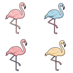Fototapeta premium Diverse Flamingos