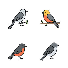Four cute birds with distinct colors sitting on branches or ground
