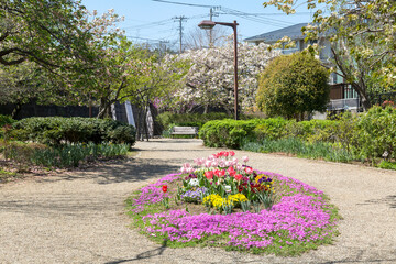 さくらの散歩道(ふれあいの小径)＜神奈川県大和市つきみ野＞「つきみ野七丁目」交差点近く