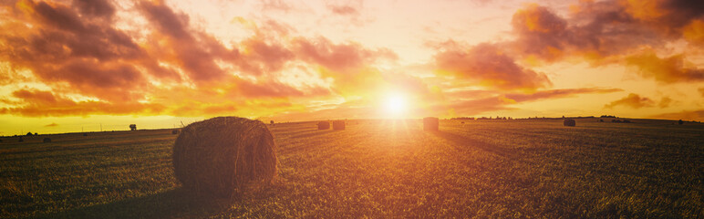 Sunset over hay bales in a field. Golden light bathes the landscape, creating a tranquil scene. For...