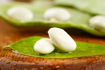 Fresh White Lima Beans on Green Leaf Closeup Display