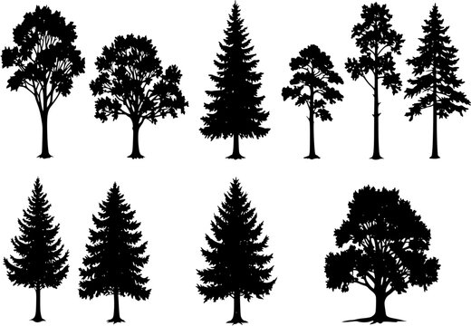 Vintage trees and forest silhouettes set with Fir tree silhouette and vector
