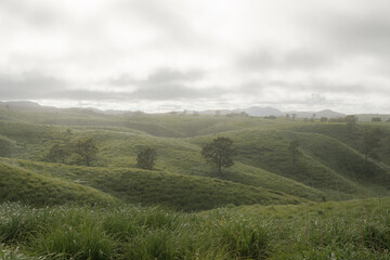 Fototapeta premium 日本の風景