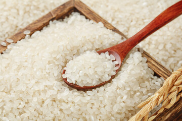 Fresh White Long Grain Fragrant Rice in Wooden Spoon and Bowl - Premium Quality Cooking Ingredient