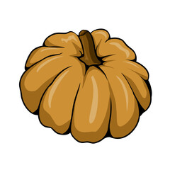 Rustic Pumpkin Hand Drawn Vector Clipart