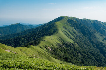 Obraz premium 日本の風景