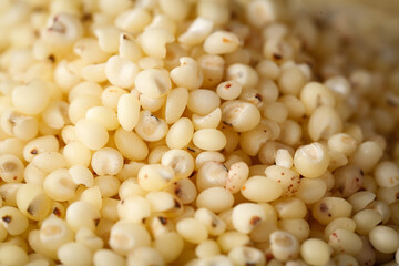 Fresh White Sorghum Grains Close-up - Cereal Crop Harvesting Agriculture Food Texture