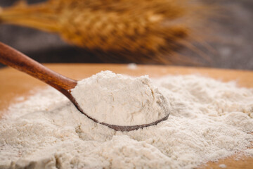Fresh wheat flour in wooden spoon with grain stalks - baking ingredients concept
