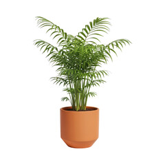Obraz premium Lush green palm plant in terracotta pot on transparent background