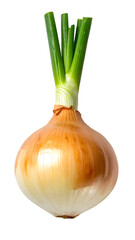 Sprouted yellow onion bulb with vibrant green shoots and glossy layered skin, fresh kitchen ingredient on isolated background