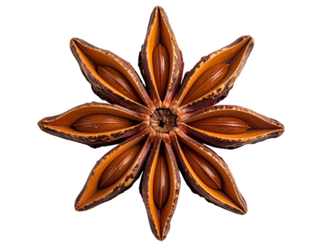 Star anise pod opened into flower-like star shape showing aromatic seeds, warm brown spice macro on isolated background