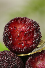 Fresh Wax Apple Tropical Fruits with Red Bumpy Skin and Pink Flesh Close-up Display