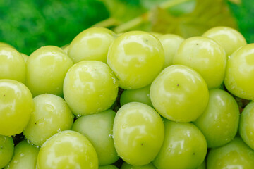 Fresh Green Grapes with Water Droplets - Organic Fruit Close-up Photography