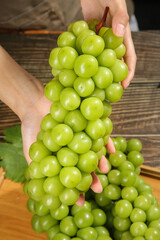 Fresh Green Grapes in Hands - Organic Fruit Harvest and Healthy Eating Concept