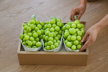 Fresh Green Grapes in Paper Bags Being Selected from Cardboard Box on Wood Table