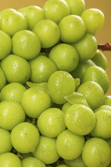Fresh Green Grapes with Water Droplets - Healthy Organic Fruit Display