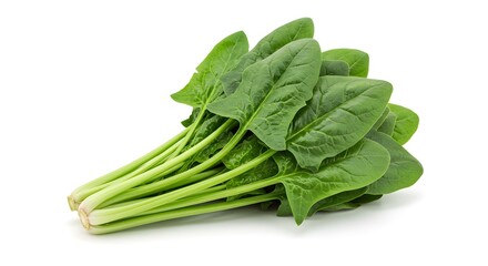 Whole raw sorrel leaves bunch, isolated on white background