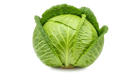 Obraz premium Whole raw lettuce head with roots, isolated on white background