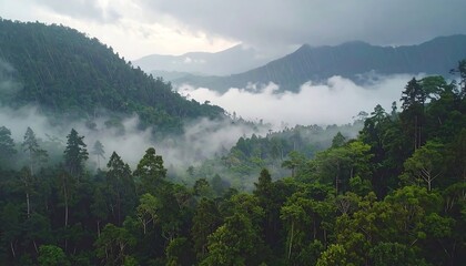 Misty mountain range shrouded in lush green forest