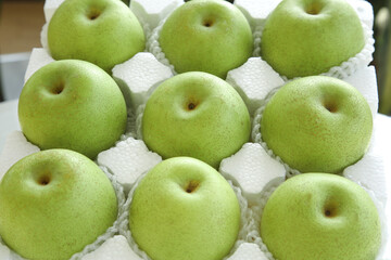 Premium Fresh Green Pears in Gift Box Packaging with Protective Foam Inserts
