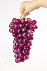Fresh Red Grapes Bunch Held in Hand on White Background