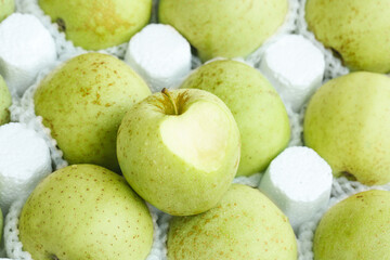 Fresh Green Apples from Shandong China Packed in Protective Foam for Export and Distribution