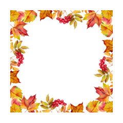 Watercolor autumn frame with colorful leaves and rowan berries. Decorative square borders for invitation, greeting card, seasonal design, and fall template.