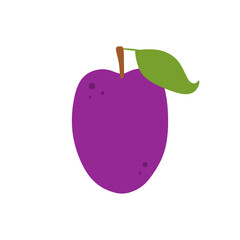 plum vector illustration