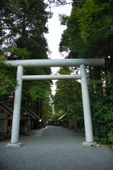 The Torii Gate and approach of Amano Iwato Shrine West Main Shrine. Miyazaki, Japan 　
