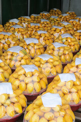 Fresh Petit Mangoes Neatly Arranged in Market Containers - Tropical Fruit Display