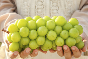 Woman's hands holding fresh green grapes in natural sunlight - healthy organic fruit concept