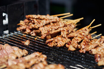 meat skewer on grill for bbq