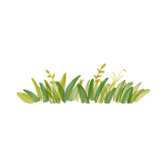 Watercolor illustration of green grass border element.