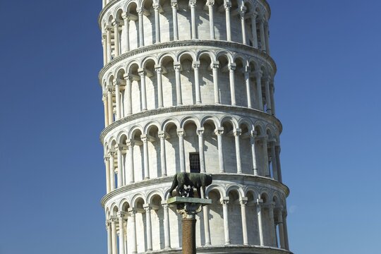 Capitoline she-wolf (lat. Lupa Capitolina), behind her the Leaning Tower of Pisa, Tuscany, Italy
