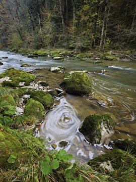 Moss-covered stones on the river Sihl, Sihlsprung, Menzingen, Canton Zug, Switzerland