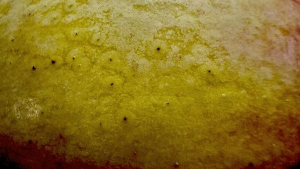 macro closeup of yellow mango skin texture with natural pores and subtle red shading creating organic abstract surface for wallpaper or banner background