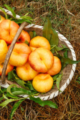 Fresh Peaches in Wicker Basket from Yimeng Mountain Orchard Shandong China