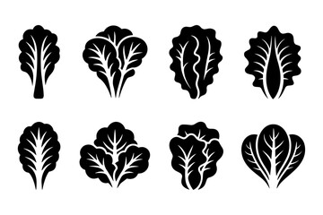 Silhouette of various lettuce food leaves