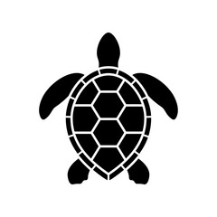 Sea turtle icon