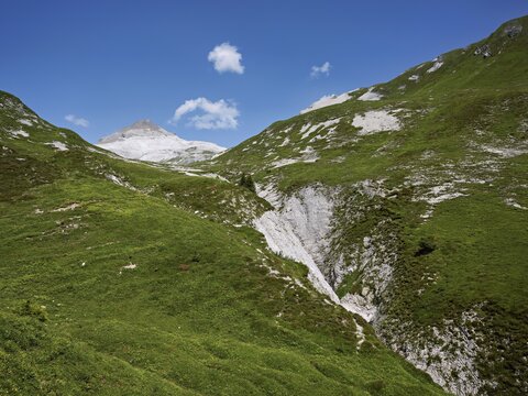 Trinser Alp Mora, Trin, Canton of Graub&uuml;nden, Switzerland